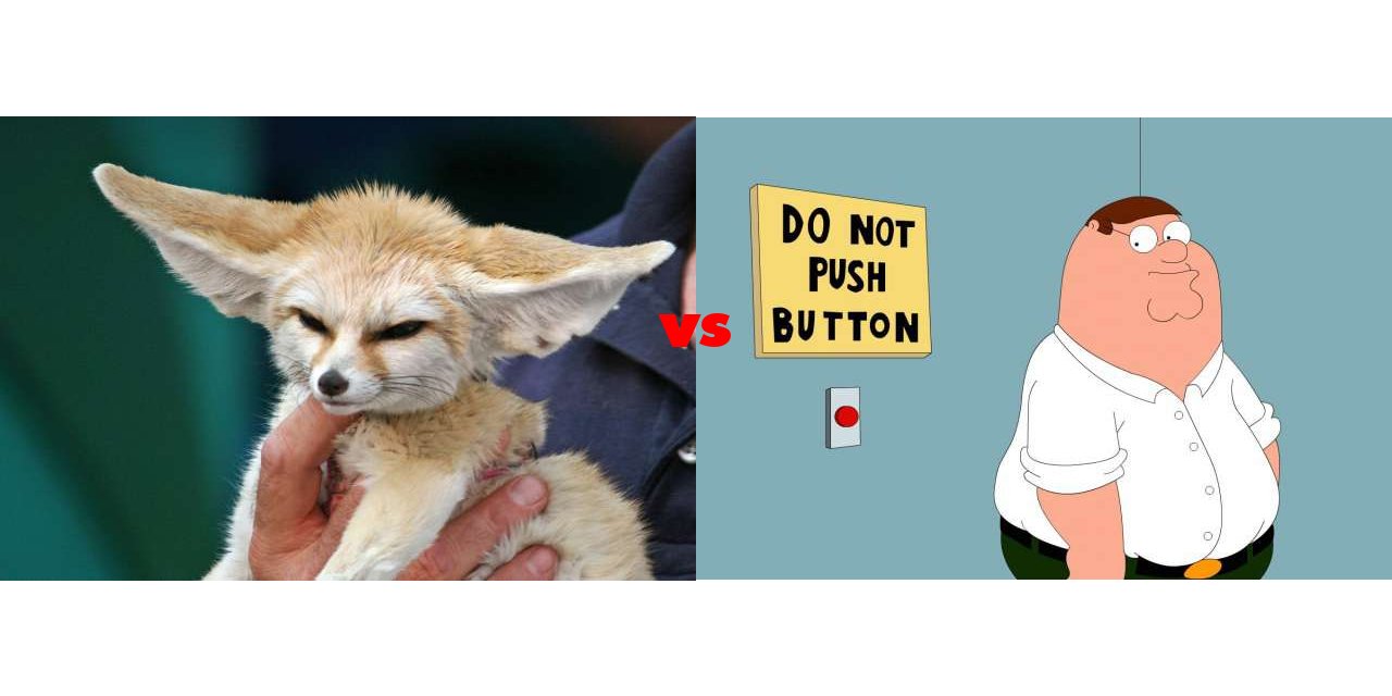 Fennec Foxes vs Peter Griffin (Family Guy) on The Big Fat List