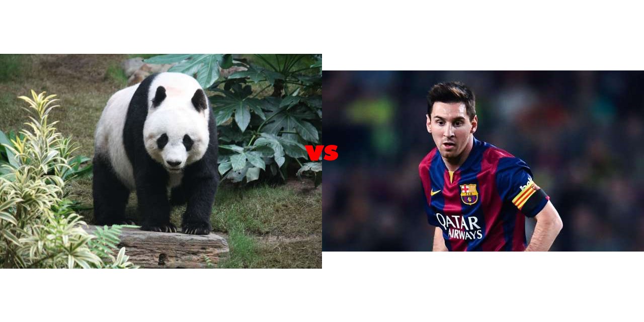 Giant Pandas vs Lionel Messi on The Big Fat List