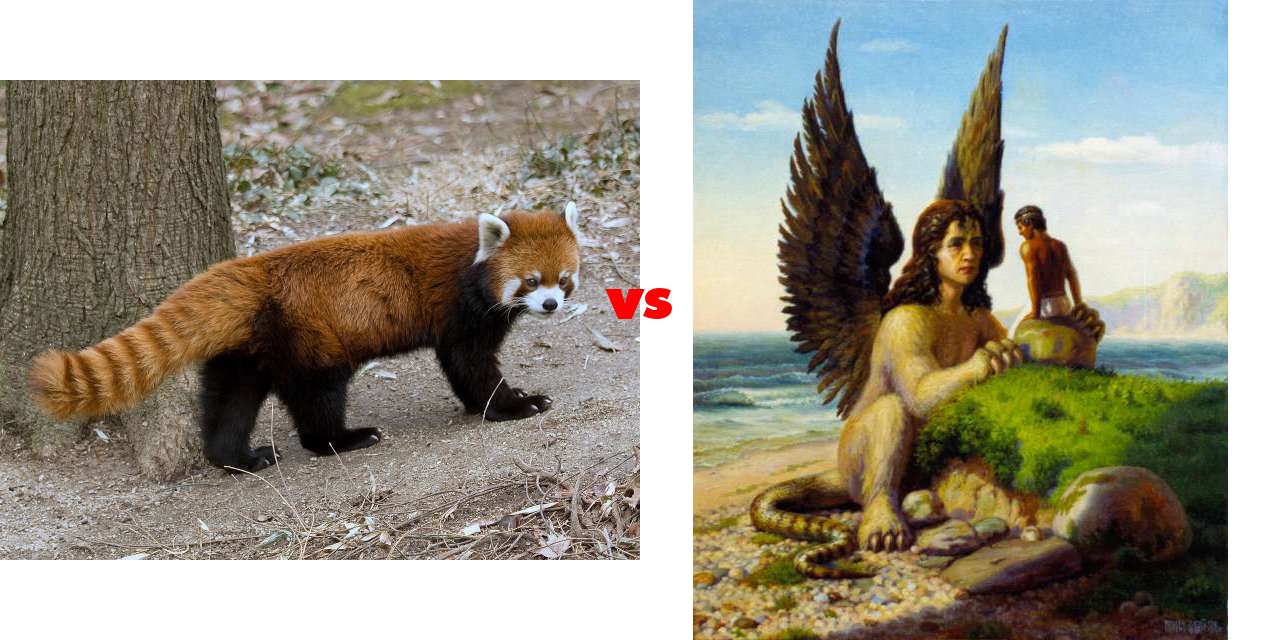 Red Pandas vs Sphinx on The Big Fat List